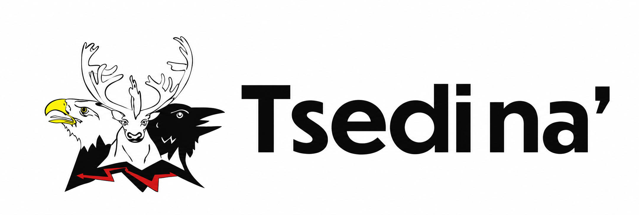 Tsedina